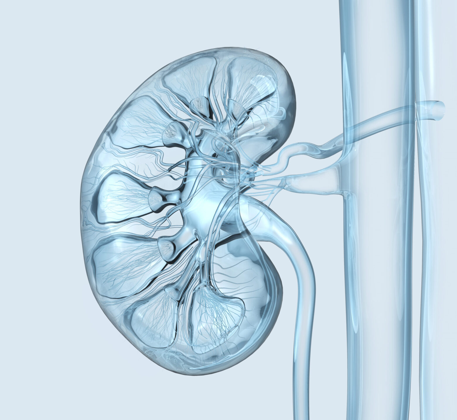 Prepare kidney and end stage renal disease care during disasters.